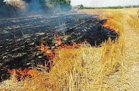 ممنوعیت سوزاندن بقایای گیاهی و کاه و کلش مزارع کشاورزی در خوزستان